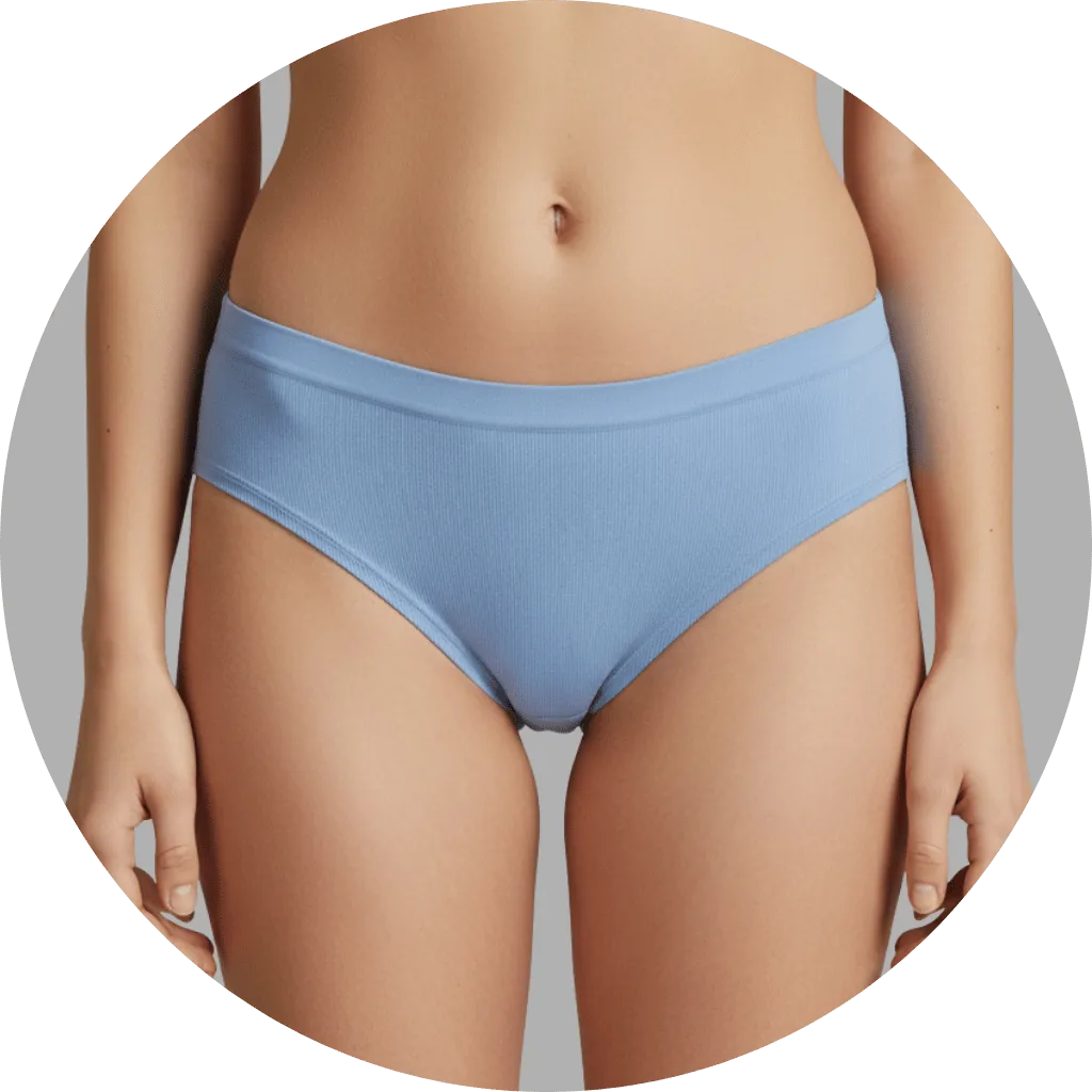 Ice Silk Panty